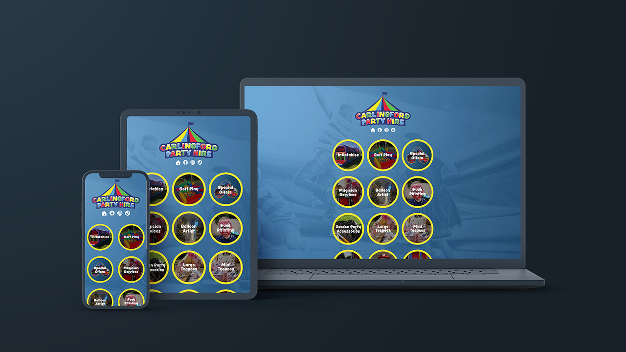 portfolio picture of a website