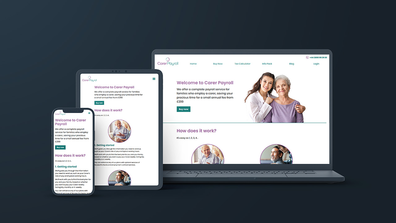 portfolio picture of a website