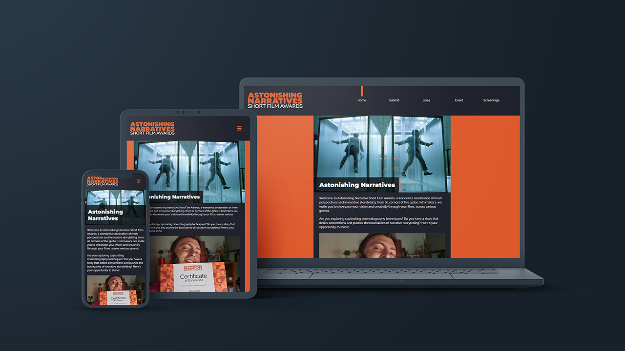 portfolio picture of a website